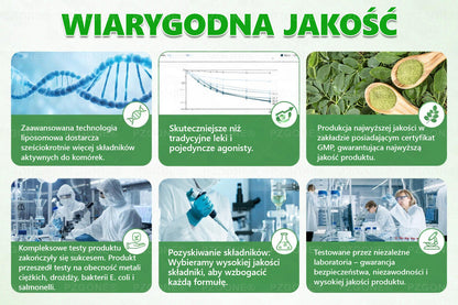 🏅🇵🇱 Oficjalny sklep | 💯𝐏𝐙𝐆𝐎𝐍𝐄® Moringa·Berberyna×NAD+ 10-w-1 Plaster (Natychmiastowy efekt, widoczne rezultaty po 7 dniach) ✅ Stosowane w celu utraty wagi, poprawy zwiotczałej skóry, leczenia cukrzycy, bezdechu sennego i problemów ze stawami.
